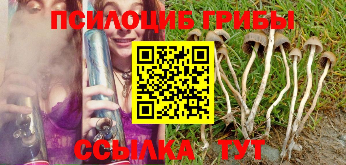 Ессентуки  Псилоцибиновые грибы ЛСД  наркотики  Галлюциногенные грибы Cubensis  Вход с VPN 